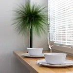 Aido Palanga
