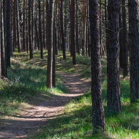 Aido Гостевой дом 3*