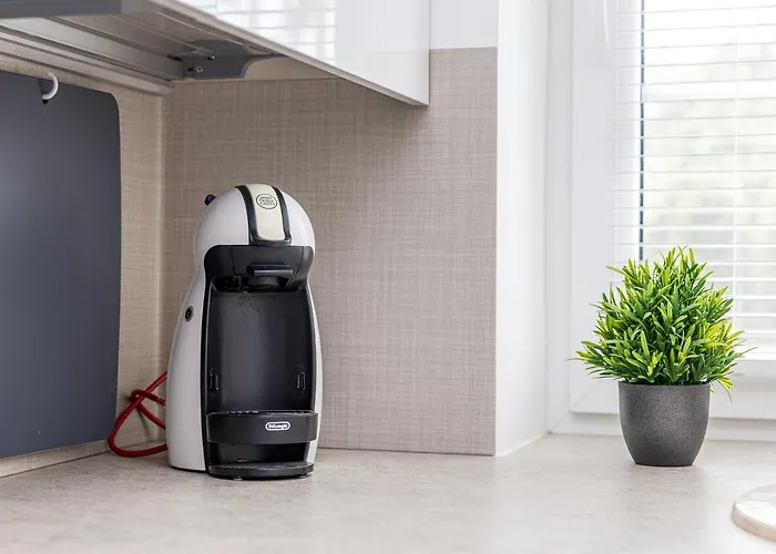 Πανσιόν Aido Παλάγκα